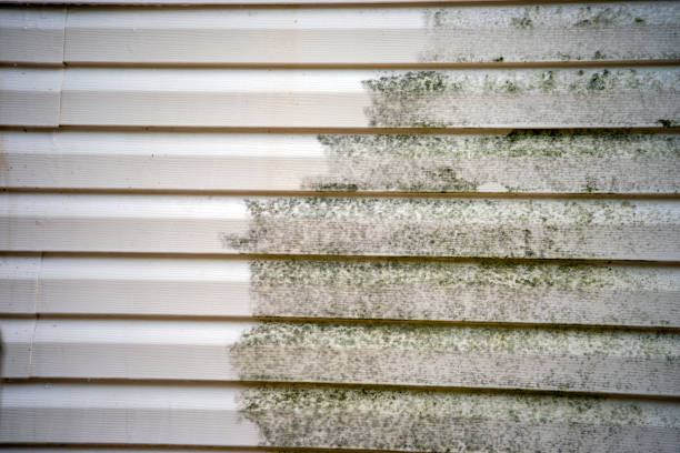 Best Foreclosure Cleanout  in Mcminnville, TN