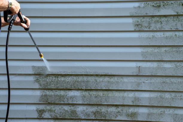 Shed Removal in Mcminnville, TN